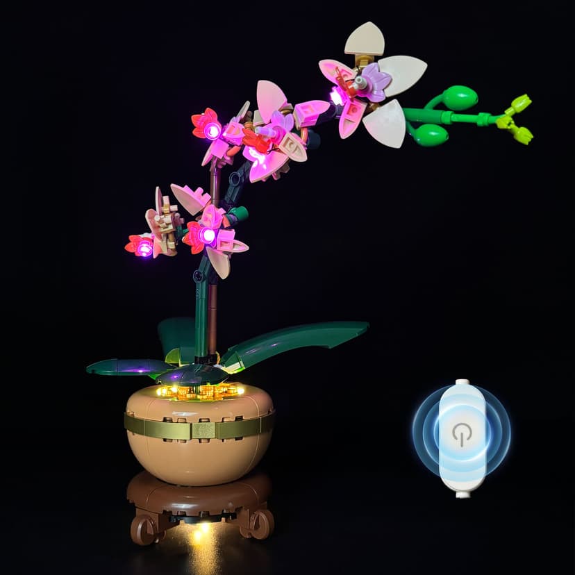 10343 Mini Orchid （Touch Version）