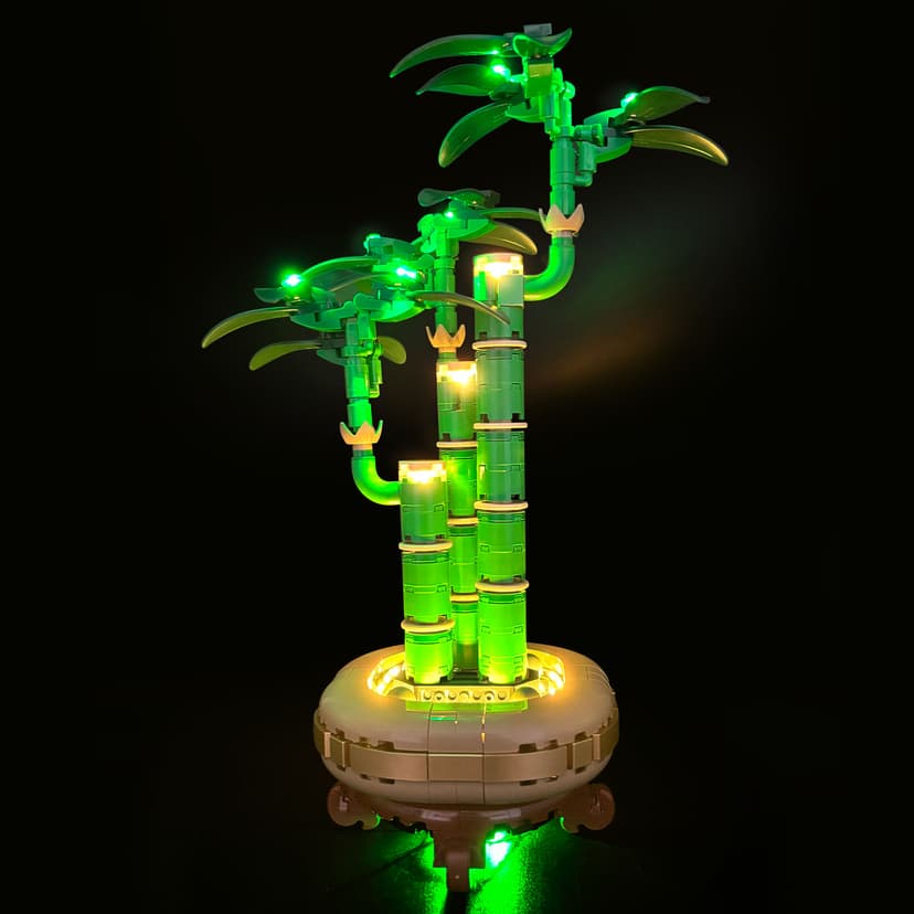 10344  Lucky Bamboo