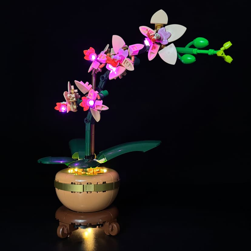 10343  Mini Orchid （Normal Version）