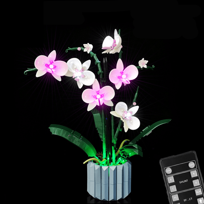 10311 Orchid Model（Remote Control Version）