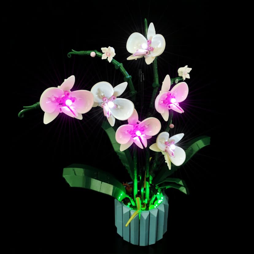 10311 Orchid Model（Normal Version）