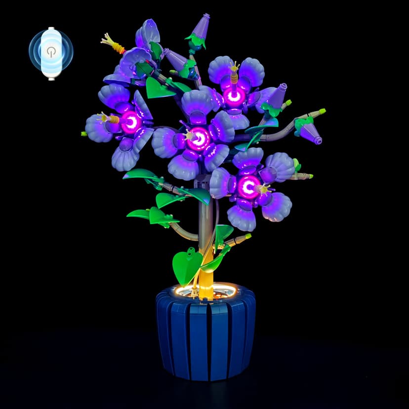 10372 Hibiscus Flower（Touch Version）