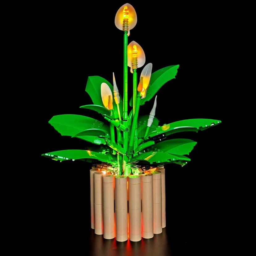 11504（Normal version）