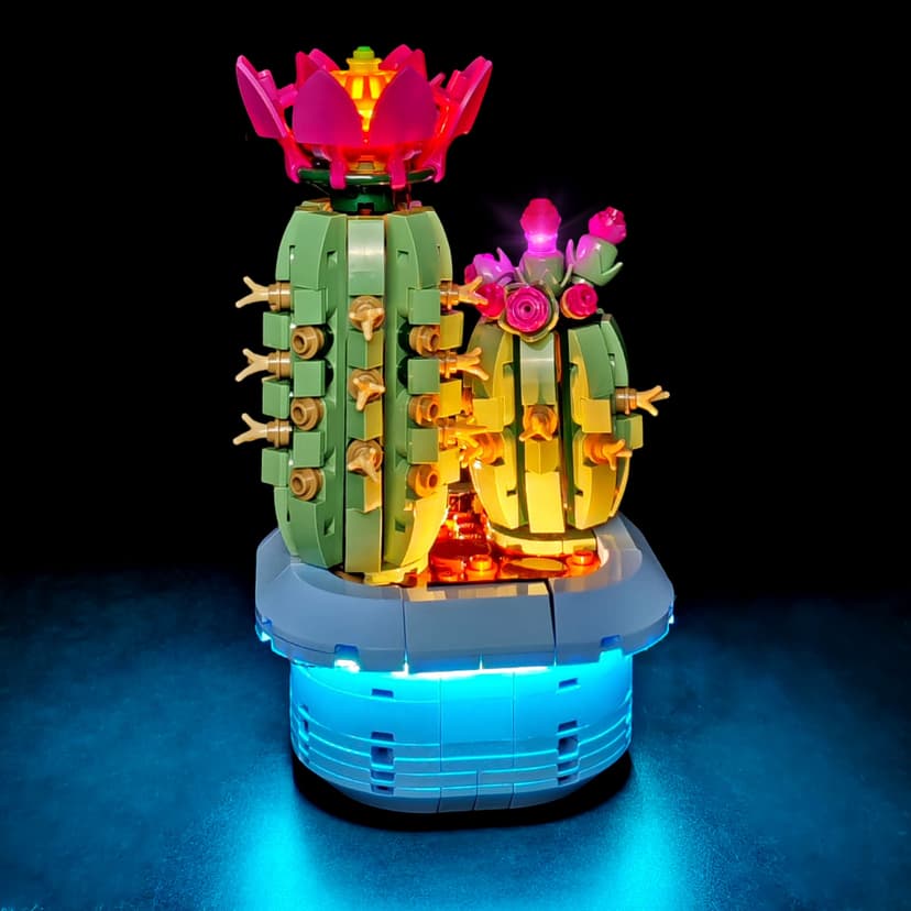 11509（Normal version）