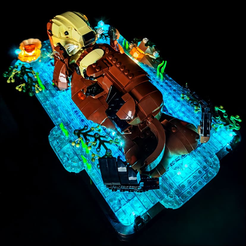 21366（Normal version）